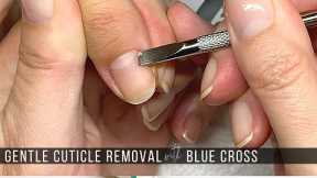 Gentle, Relaxing Cuticle Removal w/ Blue Cross [No Talking/ASMR]