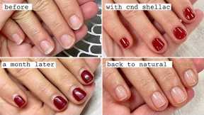 Gentle Shellac Removal and Manicure [How nail shape can change after polish wear]