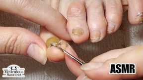 👣Simple Nail Care and Pedicure Tips ASMR #nails #satisfying #asmr